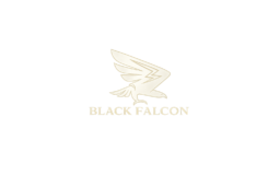 blackfalconglobal.com