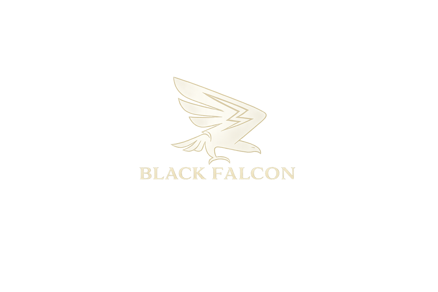 blackfalconglobal.com